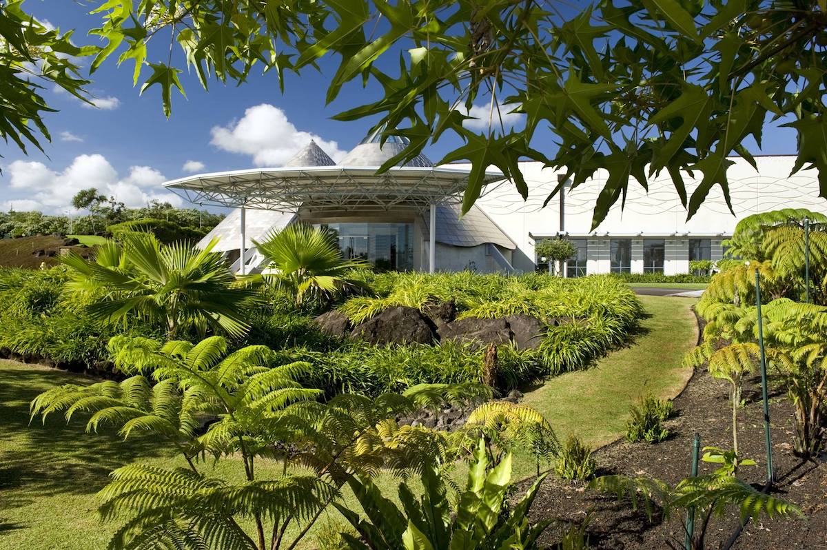 A white building with an awning in front surrounded by plush greenery.