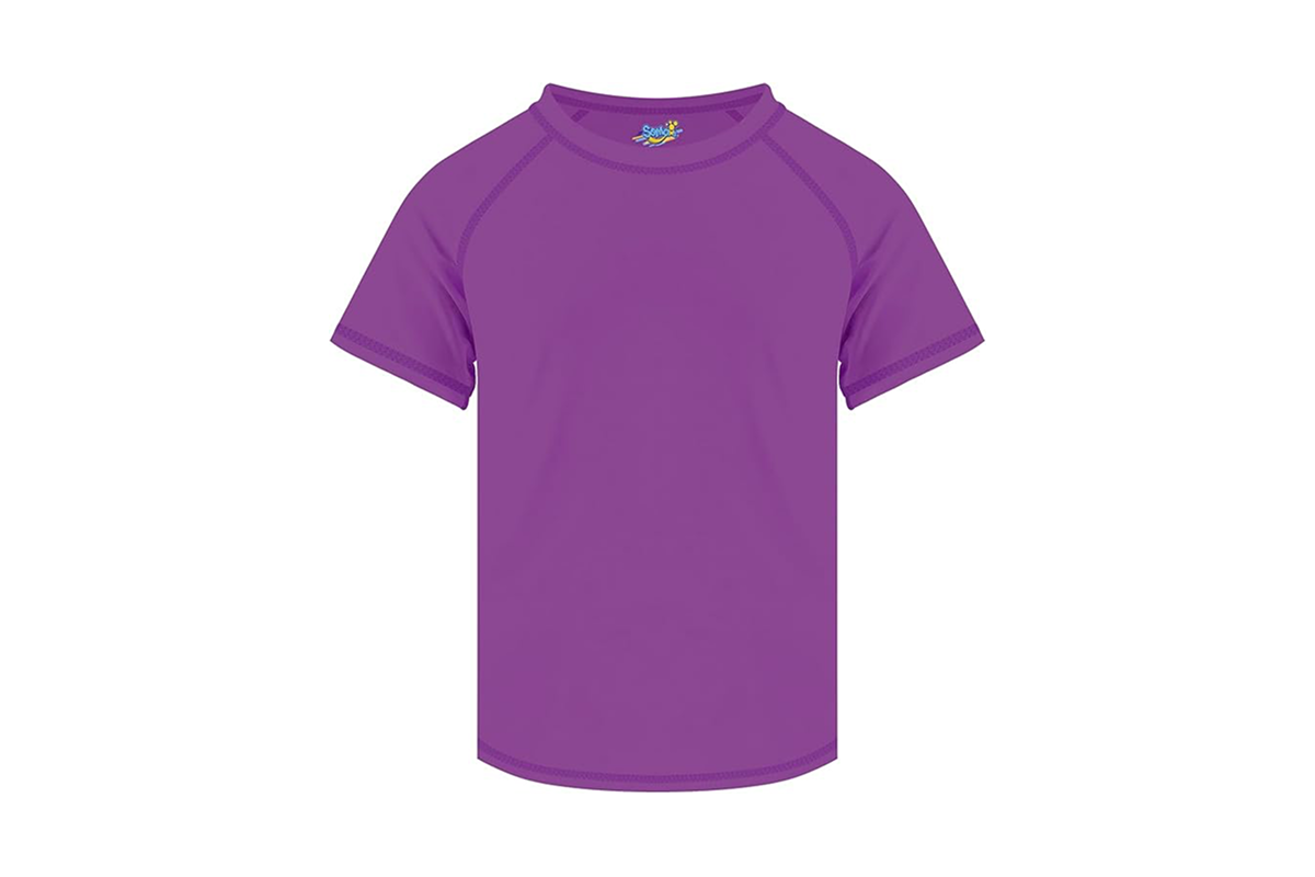 A short sleeve top in the color purple.