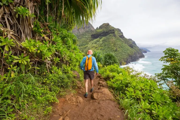 A person wearing a blue shirt, orange backpack, shorts, and a hat is hiking along a lush, green tropical trail overlooking the ocean. The path leads downhill with rugged cliffs and waves crashing below near the famous Banzai Pipeline on a cloudy day.