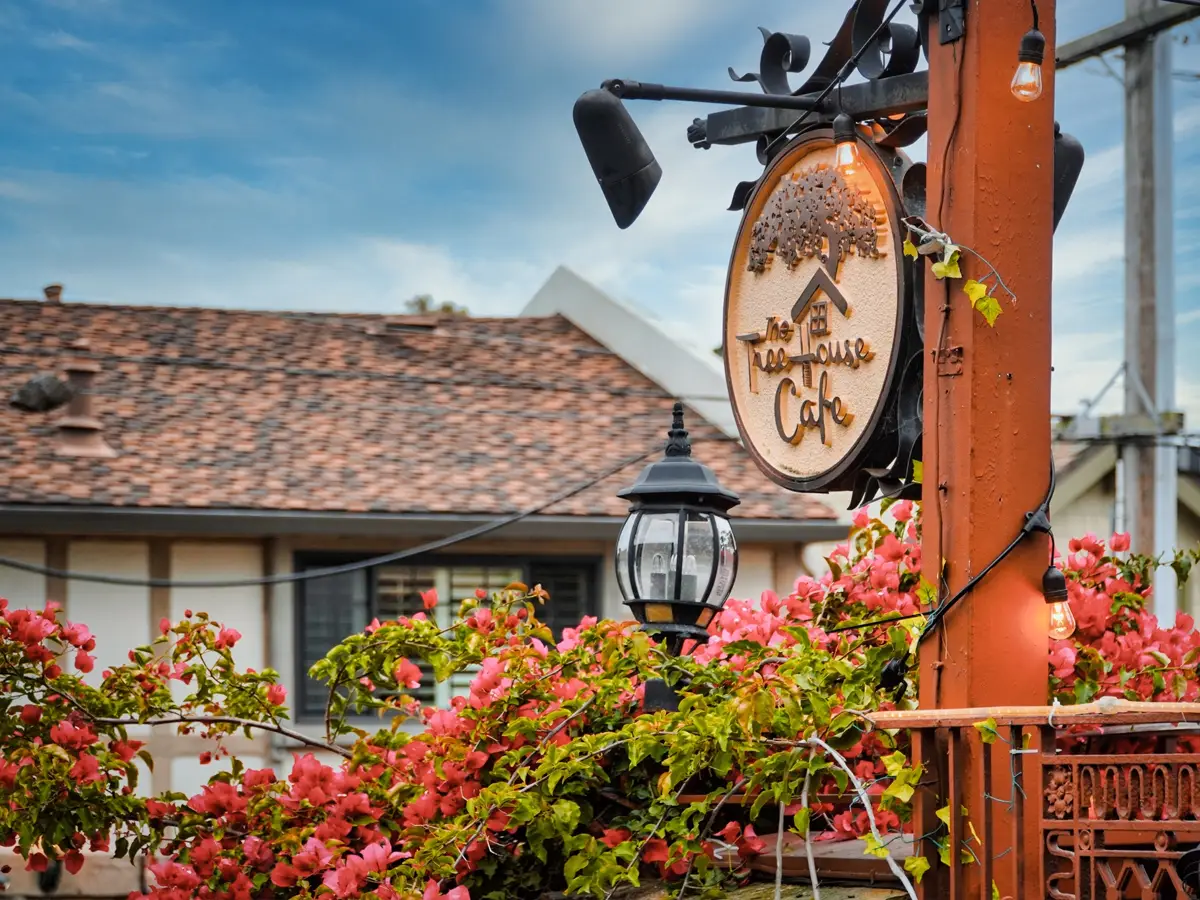 A sign for "Tree House Cafe" hangs from a wooden post, surrounded by vibrant pink flowers in what many consider the best lunch spot in Carmel Valley. A black lantern is attached to the post, and a roof with brown shingles is visible in the background under a blue sky.