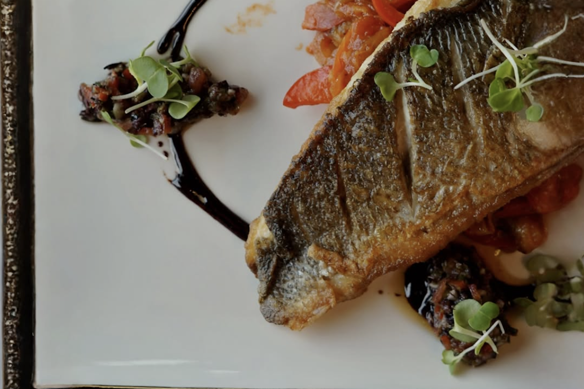 A slice of meat plated with a sauce drizzle.