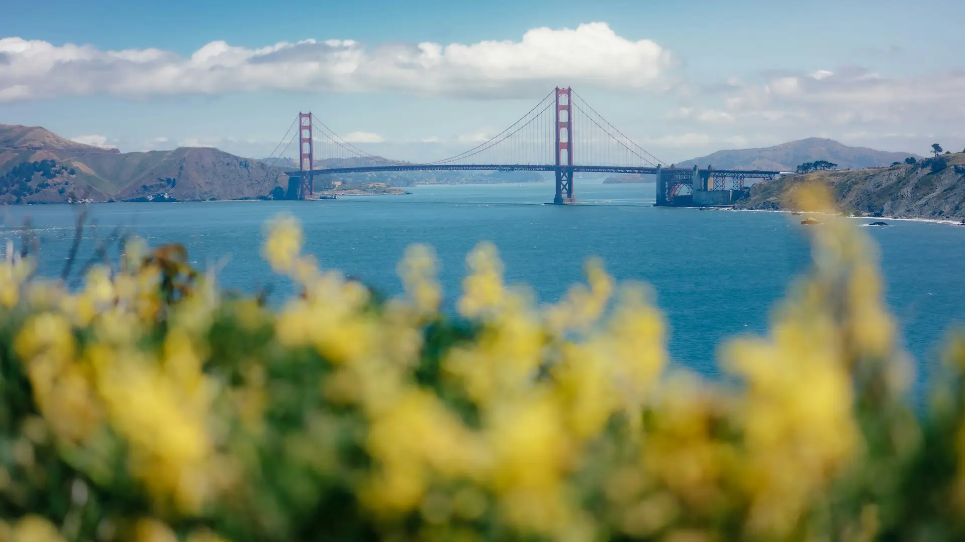 A scenic view of the Golden Gate Bridge in San Francisco, California. The iconic red suspension bridge stretches across the blue waters beneath a clear, partly cloudy sky. In the foreground, yellow flowers are slightly out of focus, adding depth to the image—a must-see among the best things to do in April in the Bay Area.