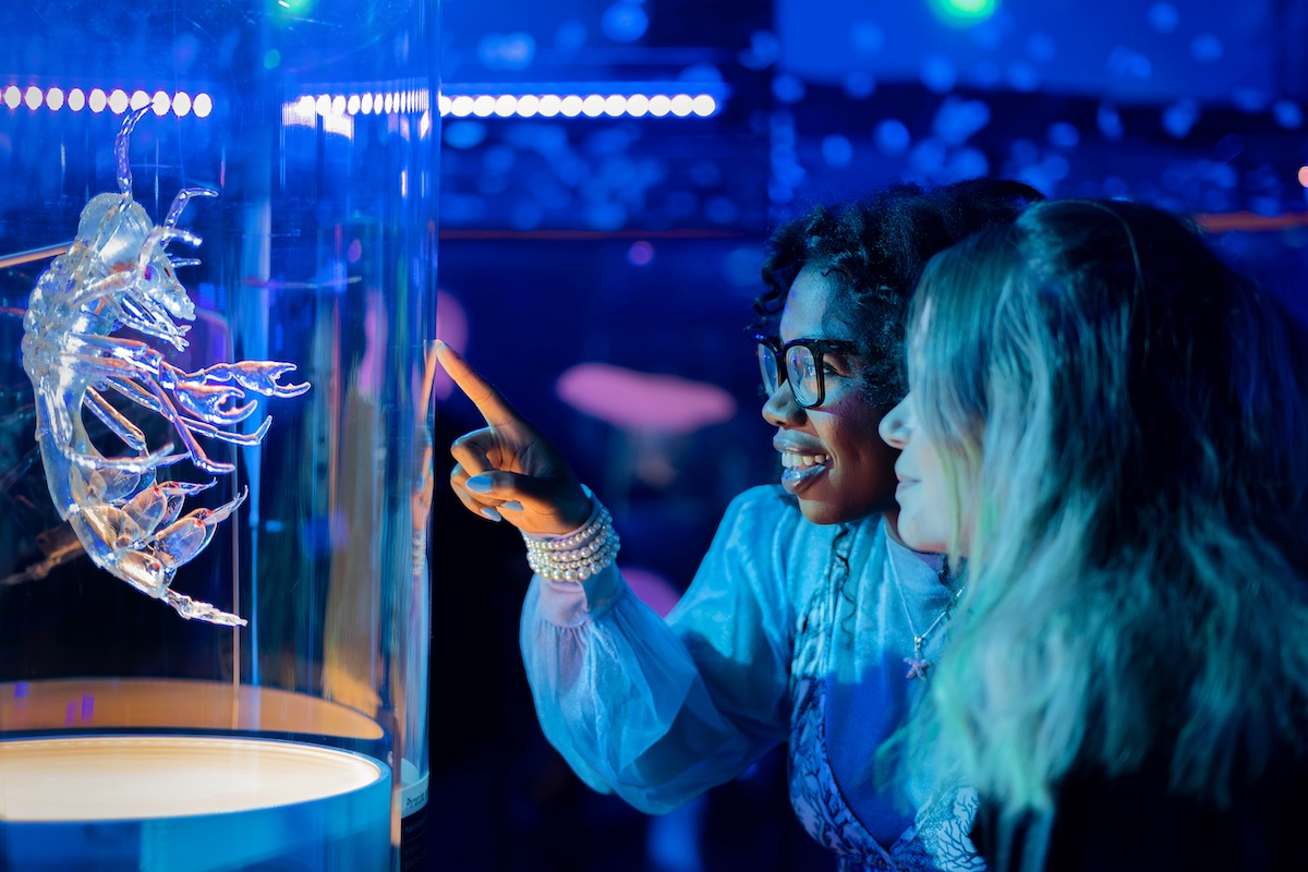Two women point at a large model of a zooplankton, illuminated by the display in the dim exhibit