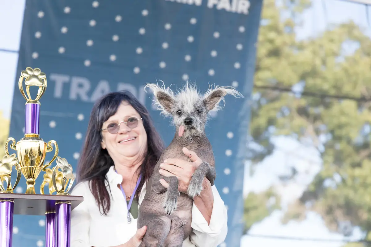 A woman with dark hair and glasses holds a small, scruffy dog with a tongue sticking out, standing next to a large gold trophy adorned with paw prints. They are on a stage with a banner and trees visible in the background—one of the best things to do in North Bay this June.