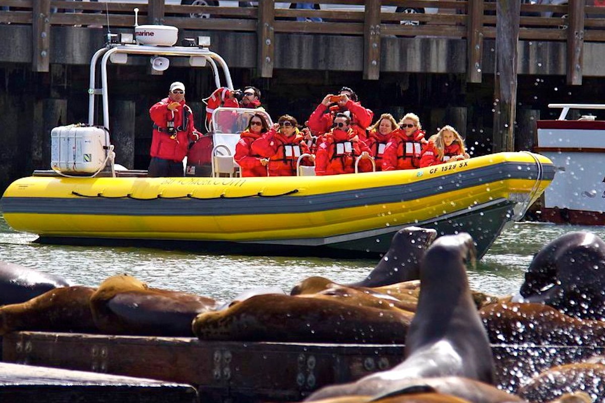 A yellow Bay Voyager boat carries a group of tourists wearing red coats and life jackets with a tour guide pointing to seals on a dock.