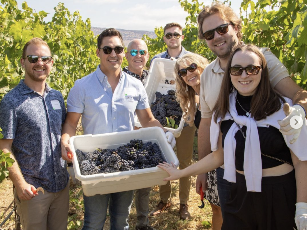 A group of seven people, wearing sunglasses and casual clothing, stand in a vineyard on a sunny day. They are smiling and holding containers filled with freshly harvested grapes. The background shows grapevines and a clear sky—one of the best things to do in Napa Valley this September!