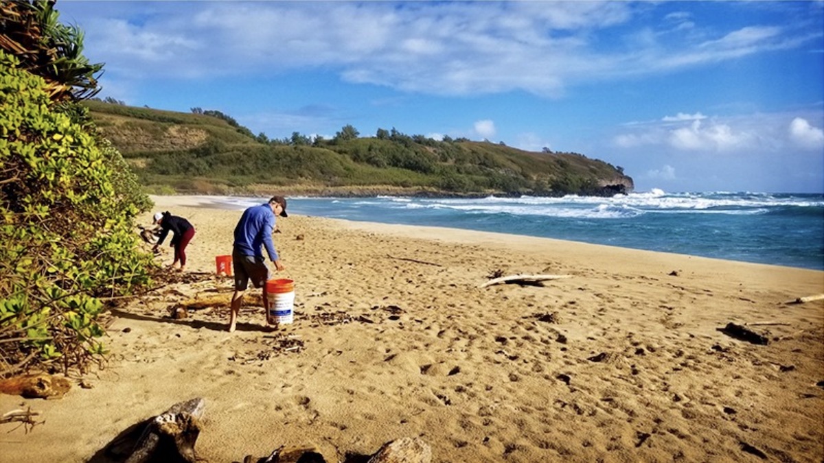 Where to Volunteer on Maui, Hawaii Land Trust