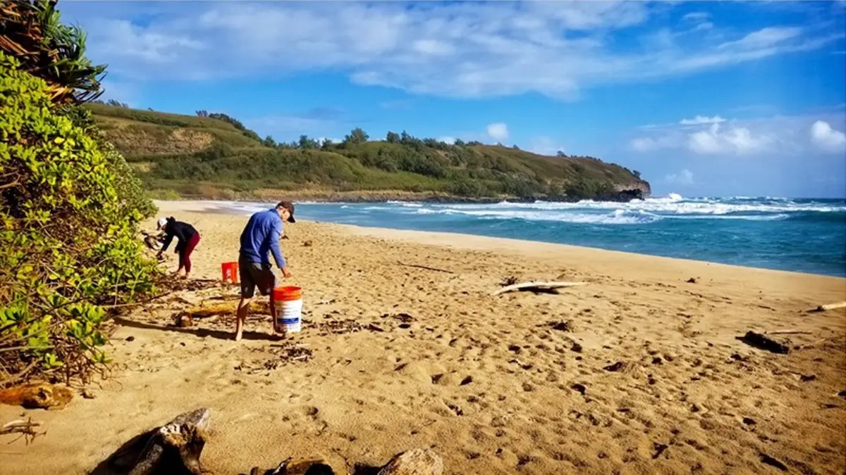 Where to Volunteer on Maui, Hawaii Land Trust