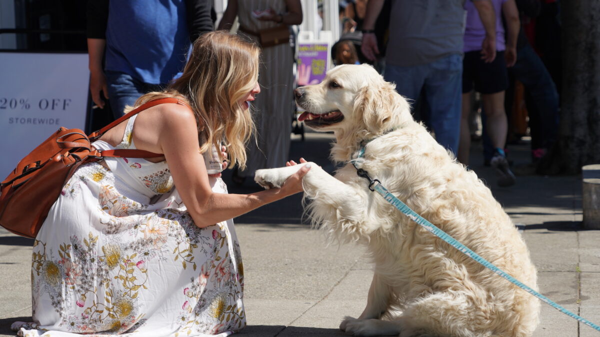 A woman in a white floral dress crouches on the sidewalk, smiling and holding paws with a golden retriever. The dog is on a blue leash, and people are walking in the background—one of the best things to do in San Francisco this July.