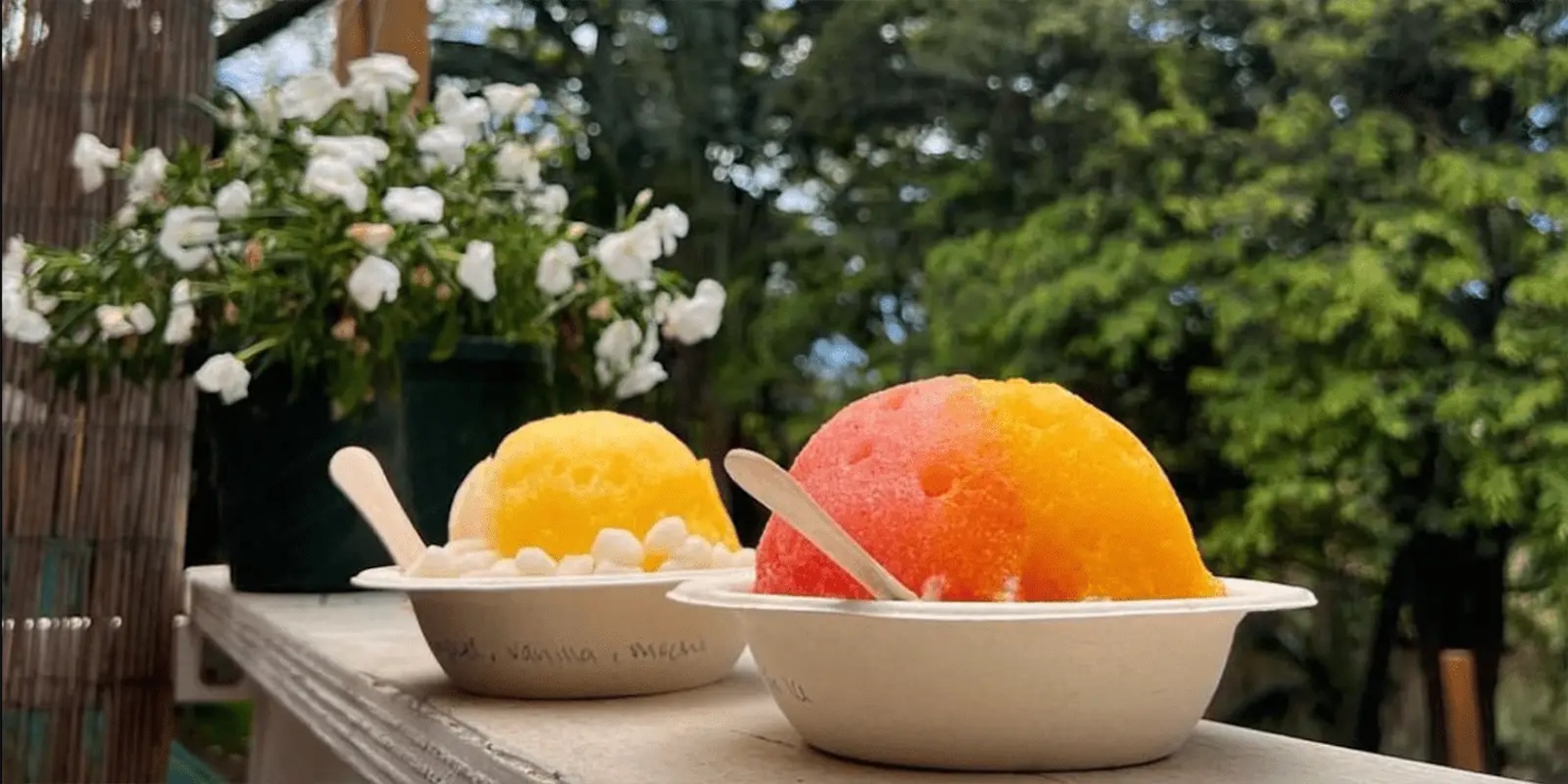 Two bowls of colorful shaved ice sit on a ledge, each with a wooden spoon. The bowl on the left has yellow shaved ice with white mochi, while the bowl on the right has a gradient of red and yellow shaved ice. White flowers and green trees in the background complete this scene of the best shave ice on the North Shore.