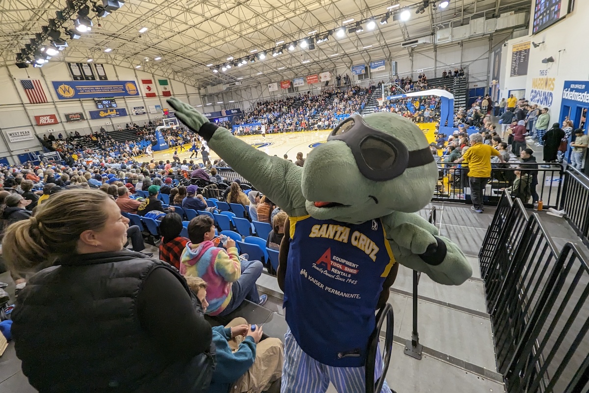 A turtle wearing glasses mascot with a crowd in the stands of an indoor basketball court.