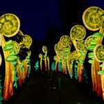 Pathway in the dark lined on either side with tall glowing lanterns shaped like mythical vines at Oakland Zoo