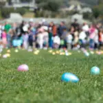Mill Valley Spring Faire Easter Eggs