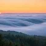 The image shows a mesmerizing view of a fog-covered landscape at sunset in Marin County. The sun is partially visible on the horizon, casting a warm, golden light over the rolling layers of fog. Pine trees in the foreground add depth and contrast to this tranquil, handmade scene.