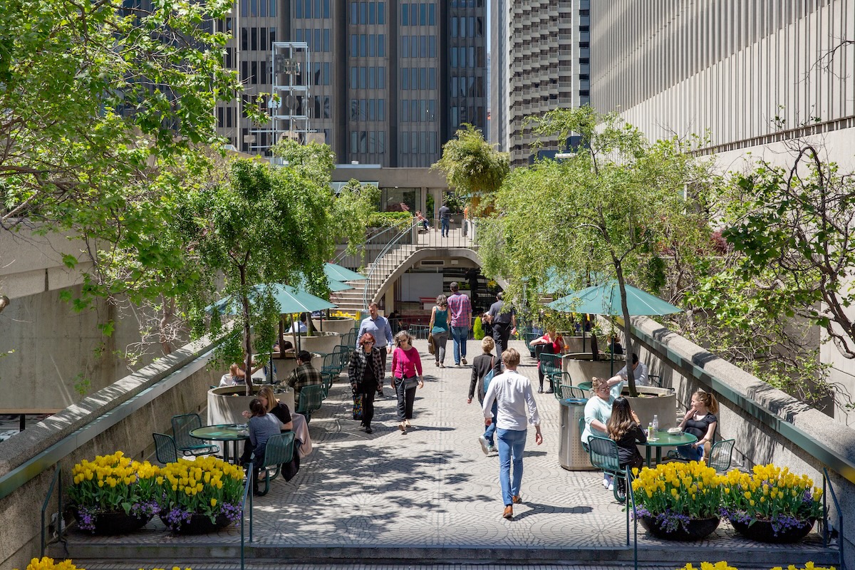 People dining and walking in an outdoor urban garden cafe with the gentle hum of music. Tables with green umbrellas are surrounded by greenery and yellow flowers. Tall office buildings in the background create a cityscape, while a staircase in the middle leads to an upper level where drinks are served at a chic bar car.