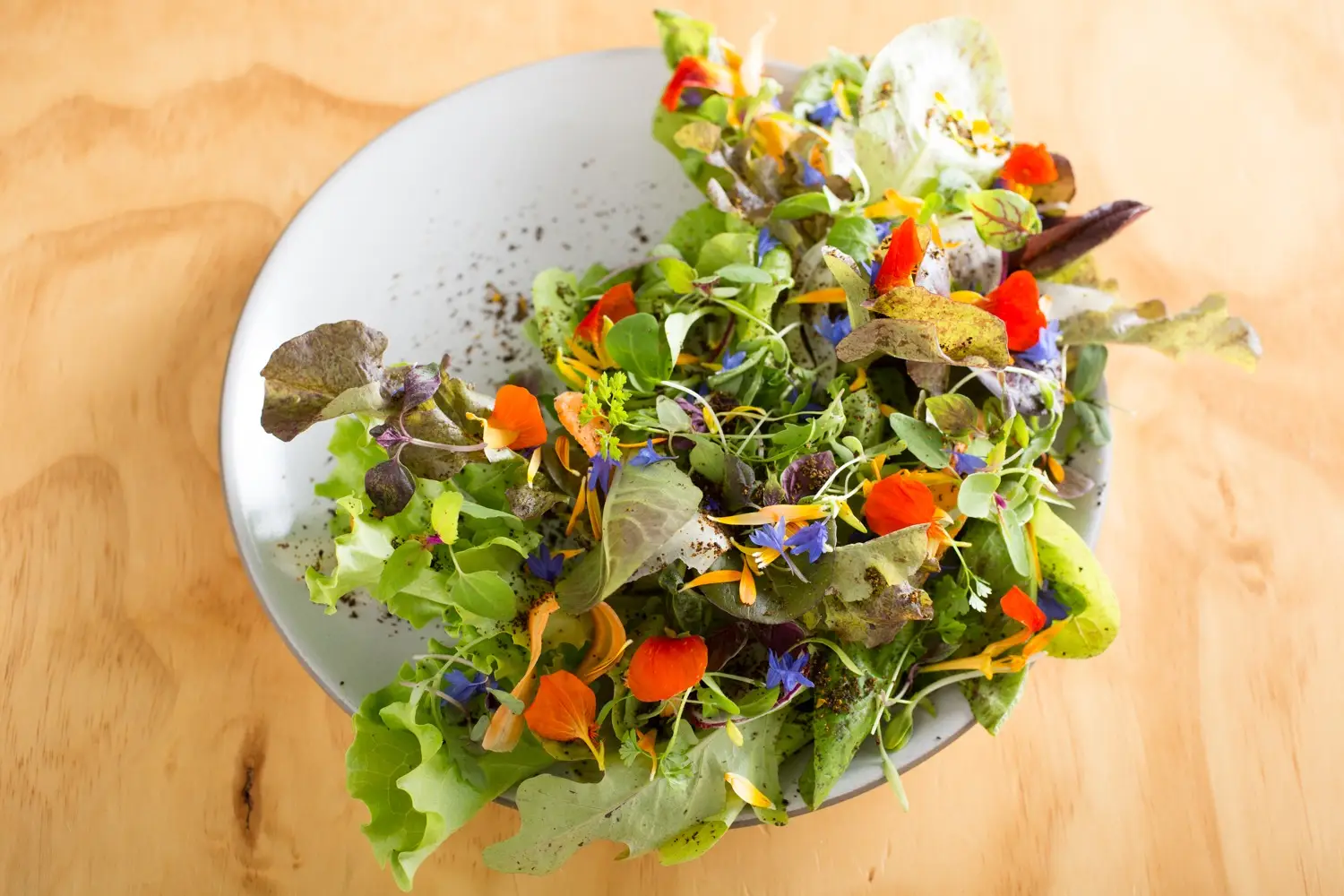 A white plate sits on a light wooden table, filled with a fresh, colorful salad. The salad contains a variety of mixed greens, vibrant orange nasturtium flowers, blue edible flowers, and microgreens. This visually appealing, healthy dish could easily be part of the best dinner in San Francisco.