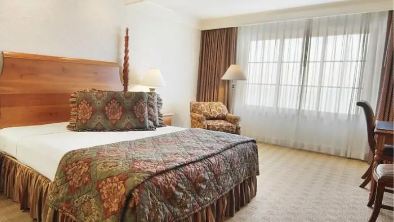 A cozy hotel room in one of the best value hotels South Bay has to offer, featuring a neatly made bed with patterned bedding, a patterned armchair, a wooden headboard, a desk with a chair, and a large window with sheer curtains allowing natural light to fill the room. A lamp sits on the nightstand.