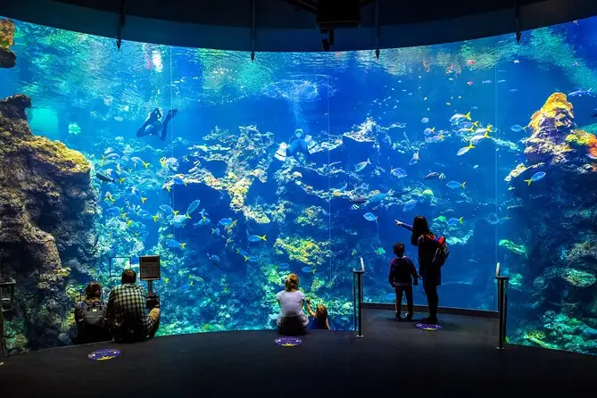 A group of people, including children, are observing a large aquarium with various colorful fish and coral formations. A diver is swimming inside the tank. The display is in a dark room with overhead lighting illuminating the tank and its surroundings—one of the best things to do in Monterey Peninsula July 2022.