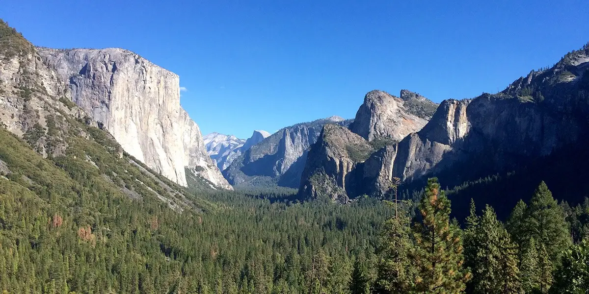A stunning view of Yosemite National Park features majestic granite cliffs, lush green forests, and a clear blue sky. El Capitan and Half Dome are prominently visible, with the expansive valley floor covered in dense trees—a perfect highlight for any California road trip.