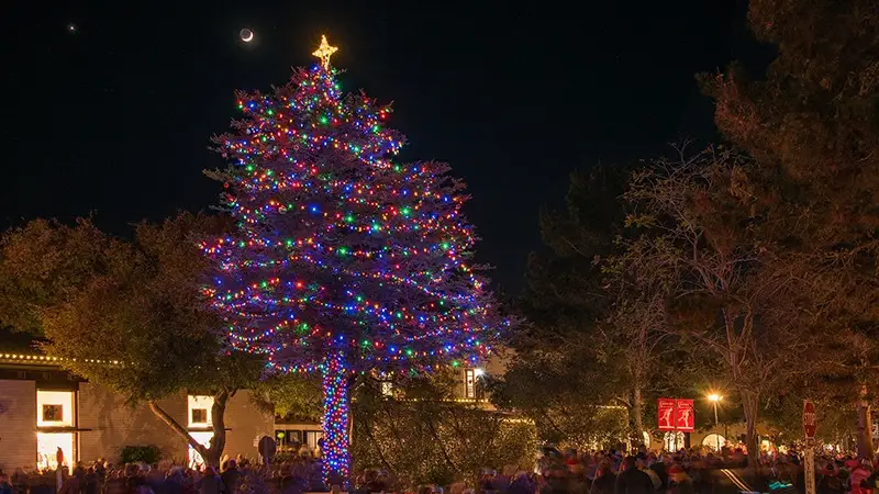 A large Christmas tree decorated with multicolored lights stands prominently in a town square at night. Crowds of people gather around, enjoying the festive atmosphere—truly one of the best things to do on Monterey Peninsula in December. The moon and a star are visible in the dark sky, with trees and buildings in the background.