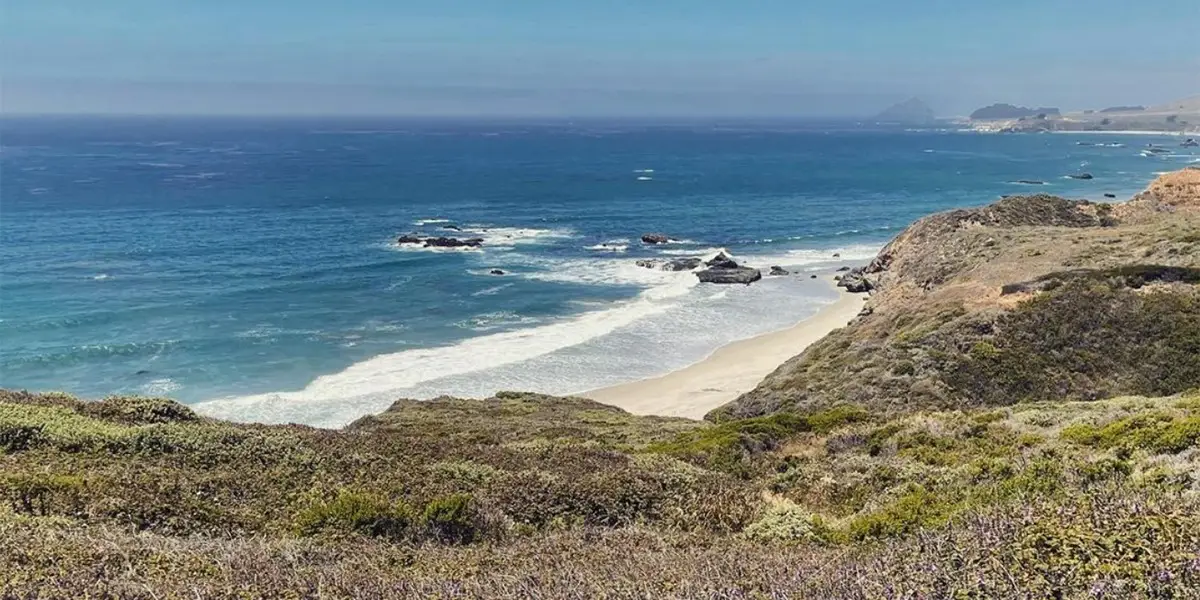 The image shows a scenic coastal view with blue ocean waves crashing onto a sandy beach bordered by rocky outcrops. Green and brown shrubs line the foreground, reminiscent of a Monterey hike, while the horizon reveals a clear blue sky and distant landforms.