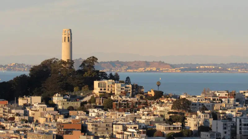 An elevated view of Coit Tower on Telegraph Hill, a San Francisco skyline staple, surrounded by trees and residential buildings. The San Francisco Bay and distant hills are visible under a clear sky.