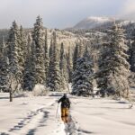 Do-Tahoe-Cross Country Skiing-credit chris-holder-pyMNFCC1wqM-unsplash-feature 800x400