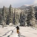 Do-Tahoe-Cross Country Skiing-credit chris-holder-pyMNFCC1wqM-unsplash-feature 800x400