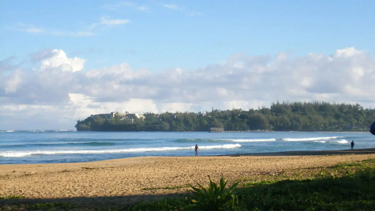 A serene scene at Wai'oli Beach Park with gentle waves lapping against the shore under a bright blue sky. A lone person stands near the water's edge. Lush green foliage grows in the foreground, and a tree-lined cliff with buildings is visible in the background.