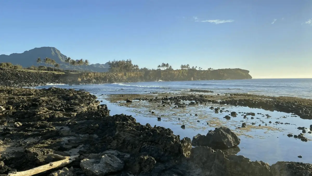 A coastal scene with a rocky shoreline and calm ocean waters. The horizon is lined with lush greenery and palm trees, reminiscent of the best hikes in Kauai, with mountains visible in the background. The sky is clear and blue, with a golden hue suggesting early morning or late afternoon sunlight.