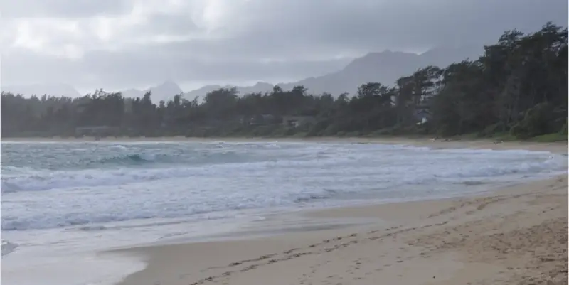 A serene Malaekahana Bay Beach with gentle waves washing onto the sandy shore under an overcast sky. In the background, there are dense trees and distant mountains partially covered by clouds, creating a peaceful and misty atmosphere.