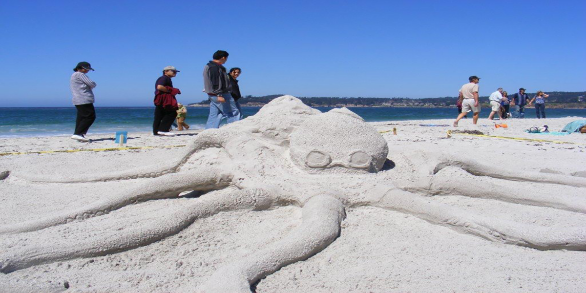 Sand Octopus_sandcastles_feature image_800x400_credit Visit Carmel
