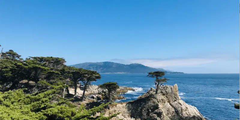 Top 5 Scenic Drives in Northern California