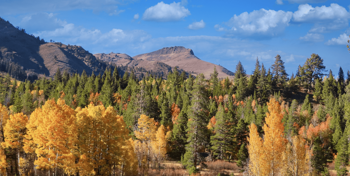 Sierra Nevada Foothills-California Road Trips-credit Roland Schumann:Unsplash-feature-800x400