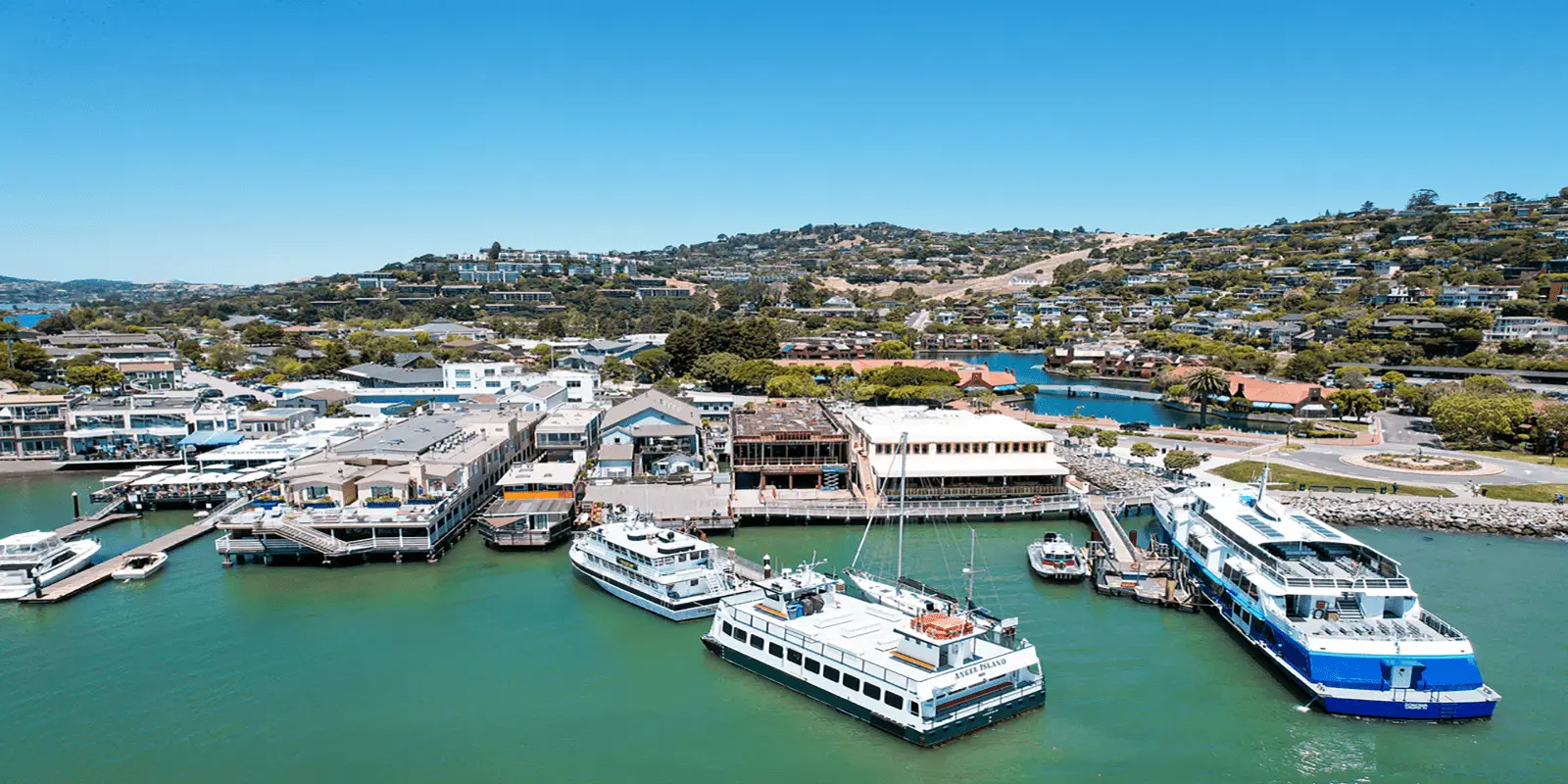 Aerial view of a bustling marina with several docked boats and yachts in a calm, greenish-blue body of water. Surrounding the marina, a charming foodie destination, Tiburon, boasts buildings, trees, and rolling hills under a clear blue sky.