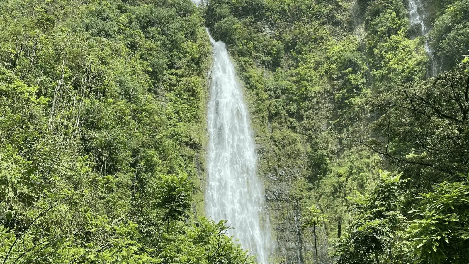 A tall, vertical waterfall cascades down a lush, green mountainside, surrounded by dense foliage and trees. The water flows with white streaks, contrasting against the vibrant greenery of the forest. Truly one of the best hikes Maui has to offer, this scene exudes tranquility and natural beauty.
