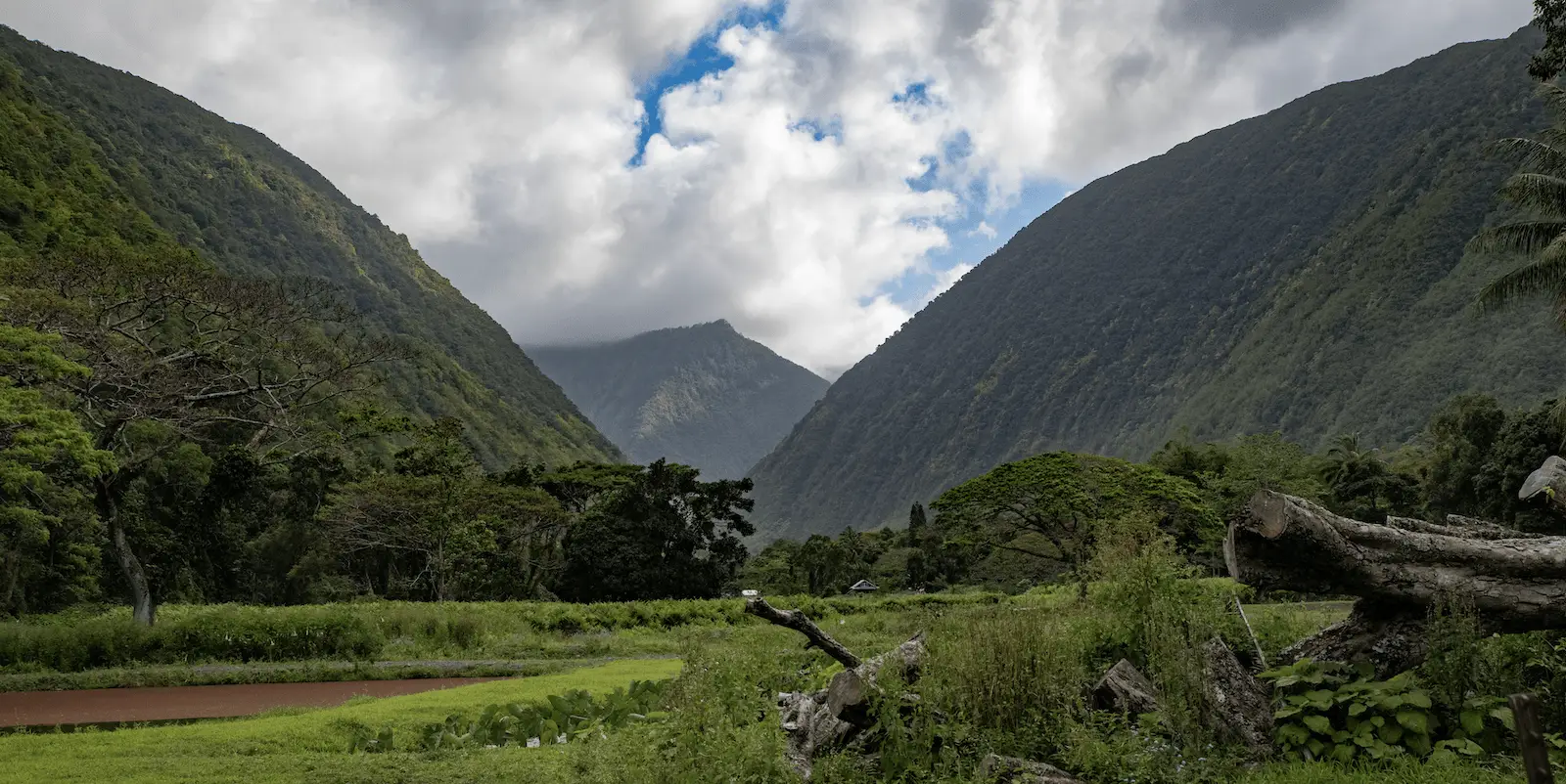 A lush, green valley surrounded by steep, forested mountains beckons visitors. A partly cloudy sky with a patch of blue is visible between the peaks. In the foreground, trees, plants, and a fallen tree trunk enhance the natural beauty of this Hawaii island tour destination.