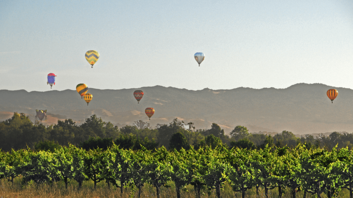 Wine-Country-Hot-air-ballooning-800x450-Sonoma-County-tourism