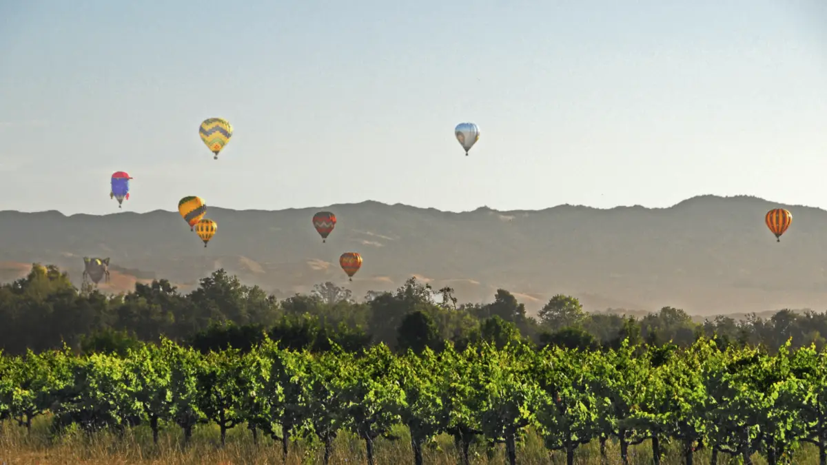 A scenic landscape showcasing a vineyard with hot air balloons of various colors and patterns floating in the sky. The backdrop features rolling hills and a bright, clear sky, making it an ideal spot to explore wine country and enjoy various outdoor activities wine country has to offer.