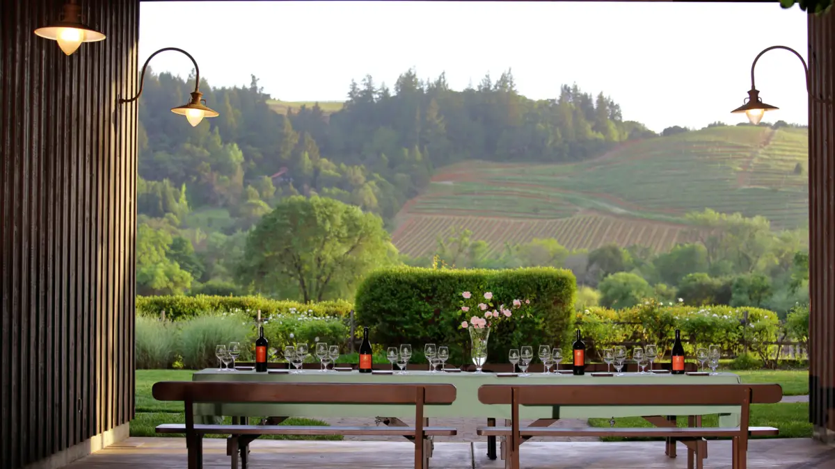 A long outdoor table set for a wine tasting event at one of Sonoma County Wineries. Multiple wine glasses and bottles adorn the table. The background features a lush green vineyard, rolling hills, and a well-maintained garden under a clear sky. Two overhead lamps illuminate the scene.