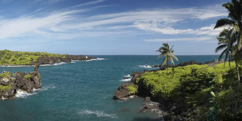 A scenic coastal view featuring a vibrant blue ocean surrounded by lush greenery and rocky cliffs, reminiscent of the best beaches in Hana. A few palm trees stand along the coast under a clear blue sky with wispy clouds. The horizon stretches into the distance, blending sea and sky.