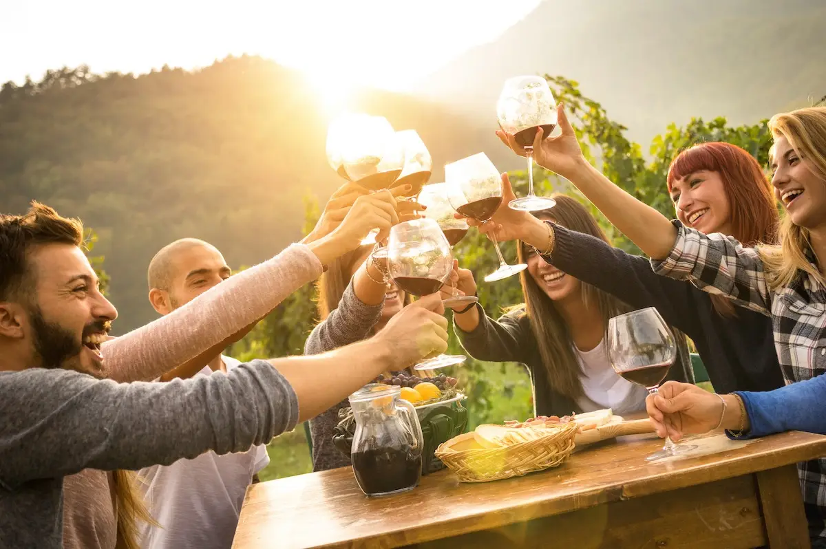 A group of people sitting around an outdoor table, toasting with glasses of red wine. They are smiling and enjoying the best lunch in Wine Country on a sunny day in a vineyard, with green hills in the background. The table is adorned with food items like bread and fruits.