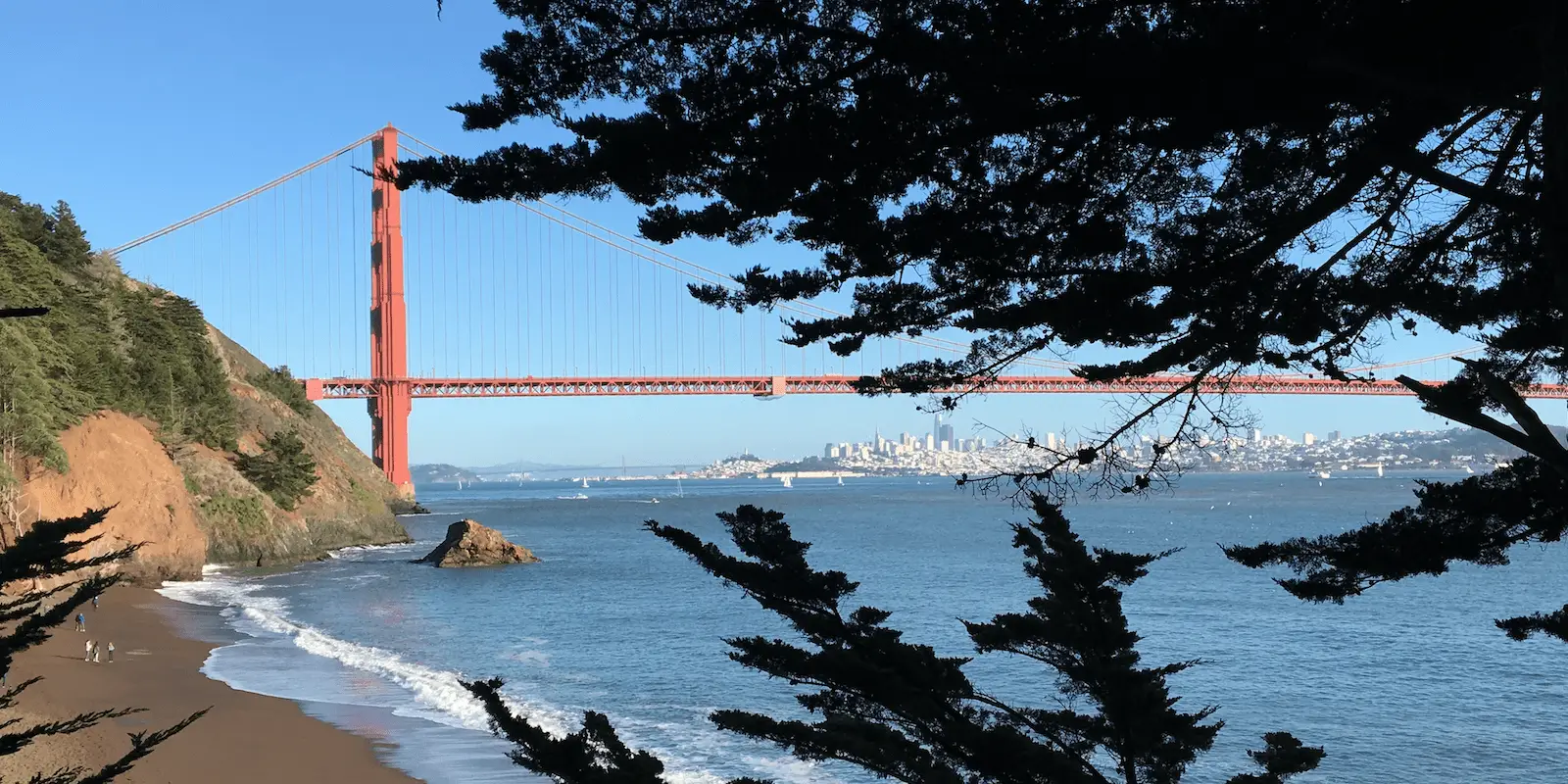 View of the Golden Gate Bridge in San Francisco, partially obscured by tree branches. The iconic red bridge stretches across the blue waters, connecting to the city skyline in the background. In addition to this scenic spot, Ocean View Hikes in Marin County offer incredible perspectives of both nature and urban beauty.