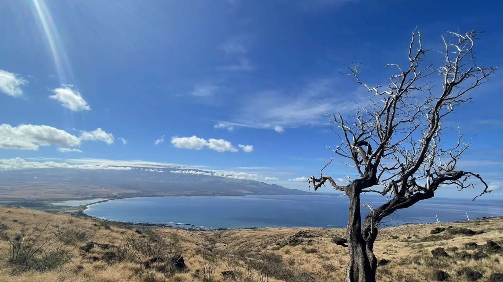 lahaina pali trail_maui_hikes_steve zhang