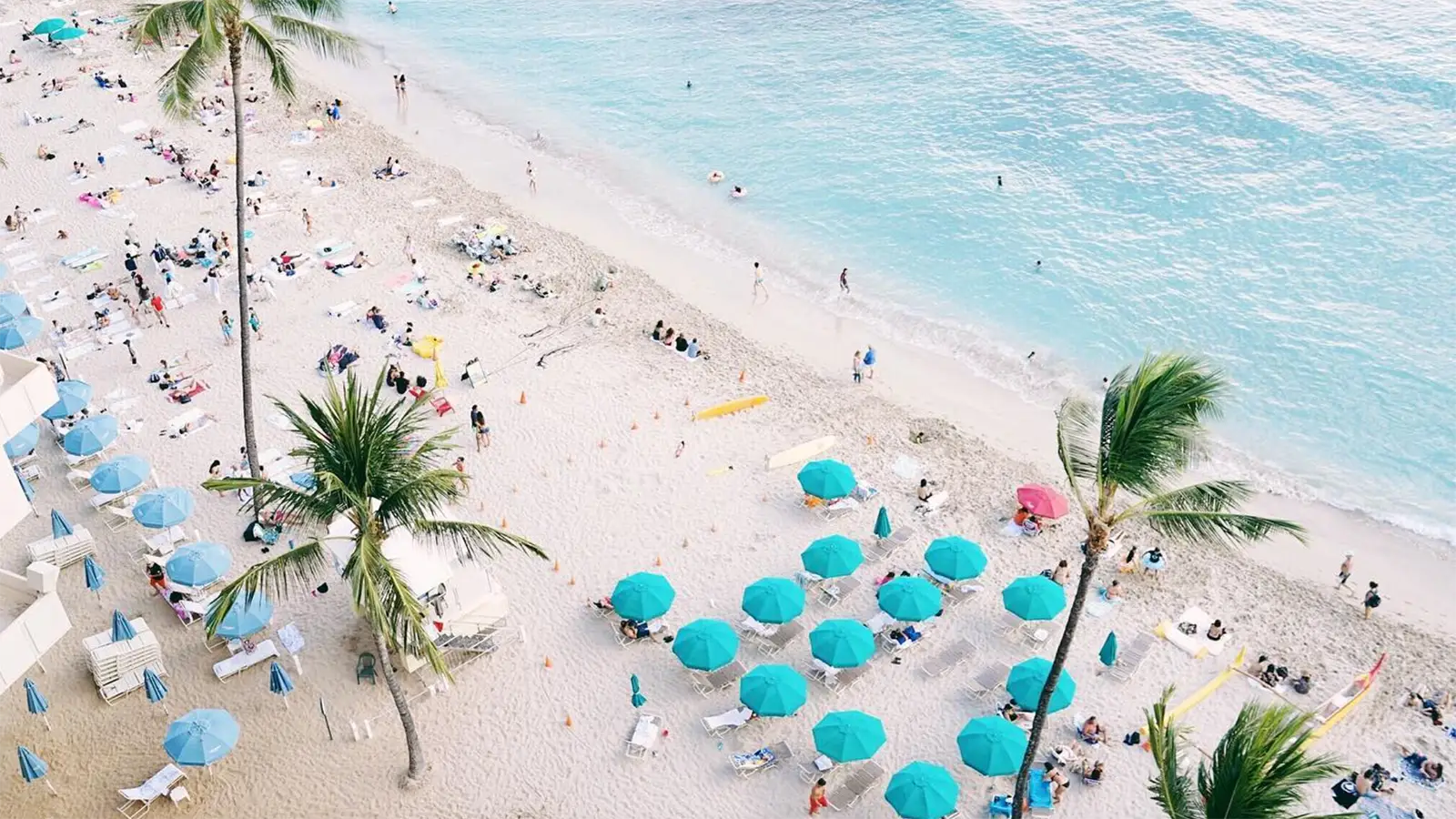 Aerial view of a beach filled with people, umbrellas, and lounge chairs. The sandy shore is dotted with teal umbrellas and beachgoers enjoying the sun. The turquoise ocean waves gently lap against the coastline, with a few swimmers visible in the water. Palm trees add a tropical touch, completing an ideal scene for those staying at best value hotels in Oahu.