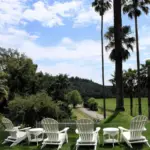 A serene landscape with a row of white Adirondack chairs facing a lush vineyard. Tall palm trees are interspersed with verdant foliage, and a winding road leads through the scene under a blue sky with scattered clouds—perfect for a bay area bed and breakfast near San Francisco.