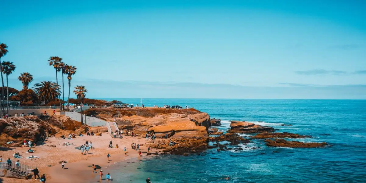 A sunny seaside scene with a sandy beach and rocky cliffs. People are enjoying the beach, swimming, and exploring the rocks. Tall palm trees line the edges, and the clear blue ocean stretches out to the horizon under a bright blue sky—just like a postcard from an ultimate guide to San Diego.