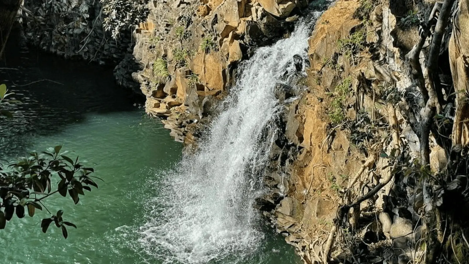 twin falls trail_maui_hikes_800x450_robert greer