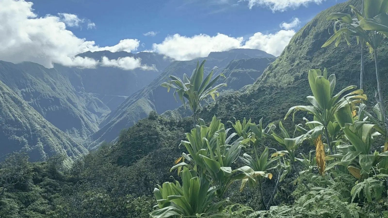 waihee trail_maui_800x450_Jill Blomberg