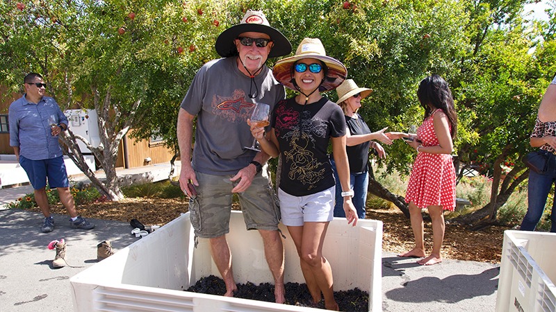 Couple stomps grapes at Bouchaine Vineyard Crush Party
